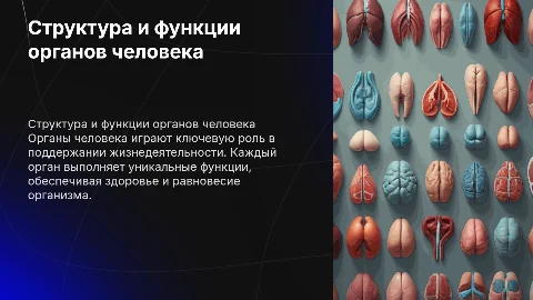 органы человека