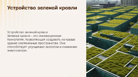 Устройство эксплуатируемой зеленой кровли