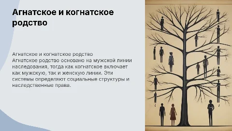 Агнатское и когнатское родство