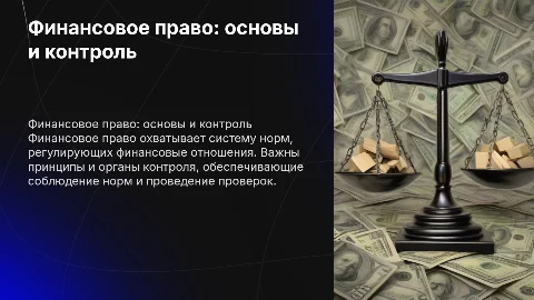 Финансовое право: основы, контроль и проверки в ФП