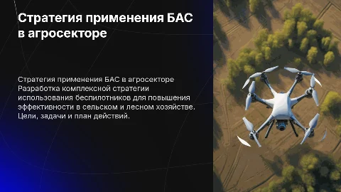Стратегия применения беспилотных авиационных систем в агросекторе