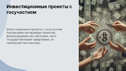 Инвестиционные проекты со смешанным финансированием и госучастием