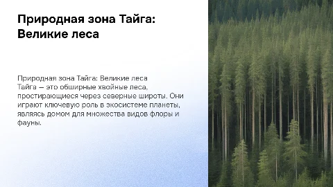 ПРИРОДНАЯ ЗОНА ТАЙГА