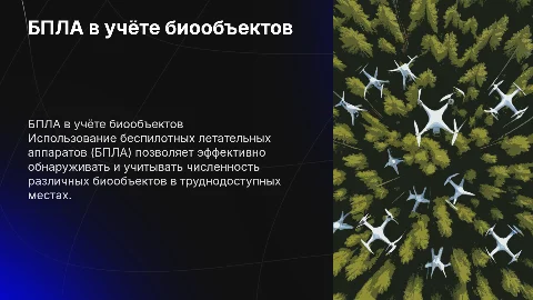 БПЛА для обнаружения учёта численности биообъектов