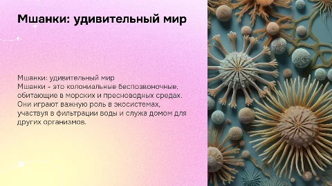 мшанки