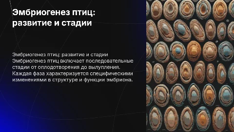 Этапы развития эмбриона птиц, эмбриогенез