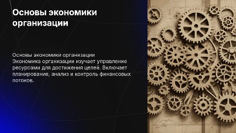 Экономика организации