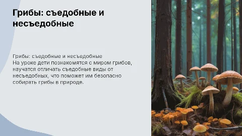 Конспект урока по окружающему миру: Грибы для 1 класса