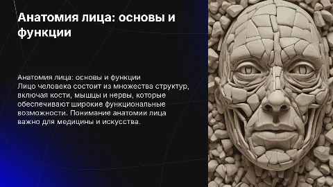 анатомия лица