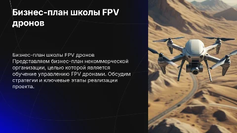 Бизнес план некоммерческой организации летной школы FPV дроны