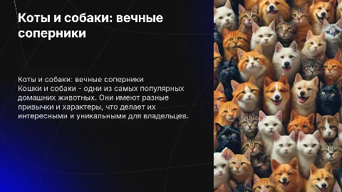 коты и собаки