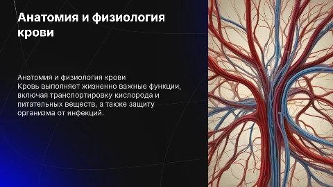Анатомия и физиология крови