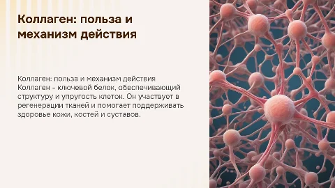 коллаген-его польза и механизм действия на человеческую клетку