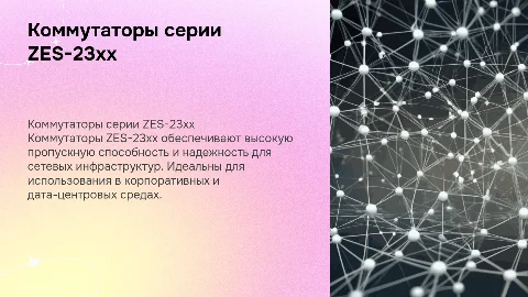Коммутаторы ZES-23xx