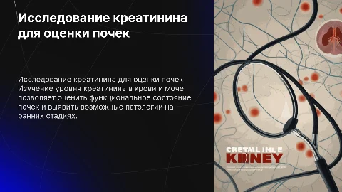 Значение исследования уровня креатинина в сыворотке крови