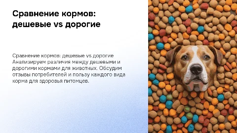 корма сравнение дешевых дорогих отзывы польза