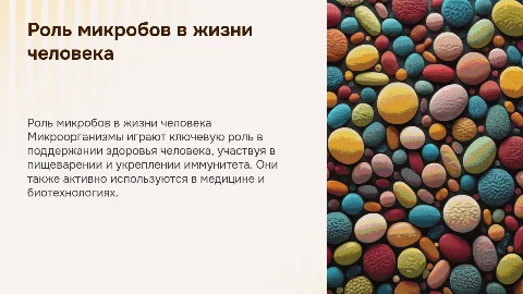 Роль микроорганизмов в жизни человека