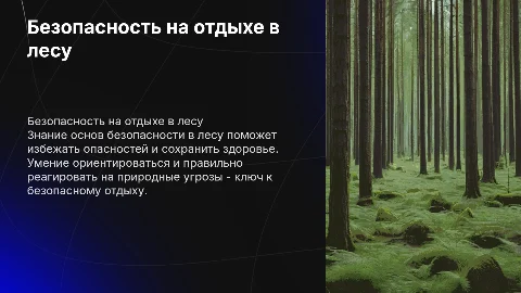 безопасность на отдыхе в лесу