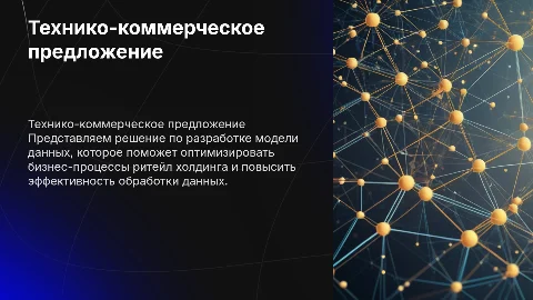 Технико-коммерческое предложение по разработке модели данных