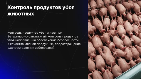 Ветеринарно-санитарный контроль продуктов убоя