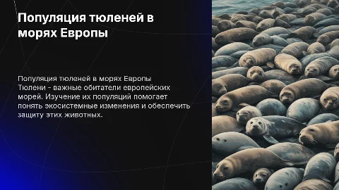 популяция тюленей морей европы
