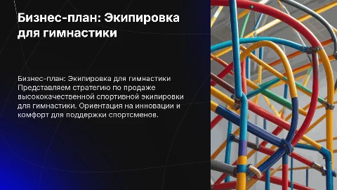 Бизнес-план по продаже спортивной экипировки для гимнастики