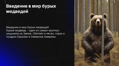 Создайте презентацию о буром медведе из трех слайдов