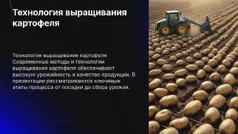 Технология выращивания картофеля