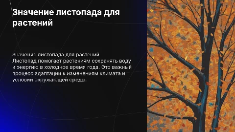 значение листопада в жизни растений
