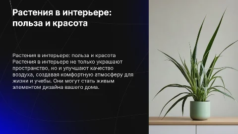 Растения в интерьере: проект для 7 класса