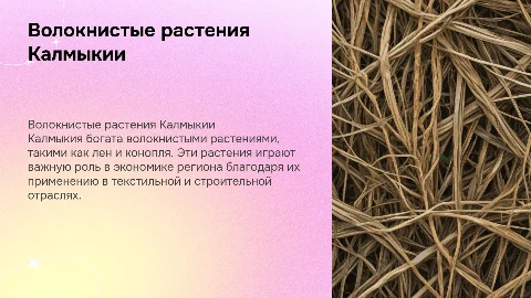 волокнистые растения Калмыкии