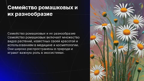 Семейство ромашковых