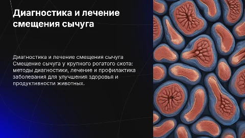 Диагностика и лечение смещения сычуга у крупно-рогатого скота