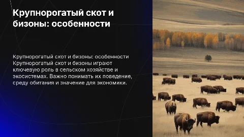 Крупнорогатый скот, бизон