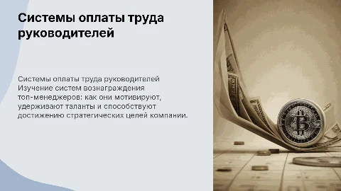 Системы оплаты труда руководителей высшего звена