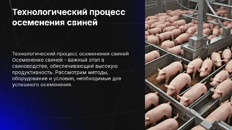 особенности технологического процесса осеменения свиней