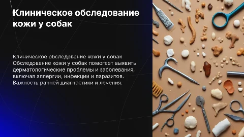 клиническое обследование кожи у собак
