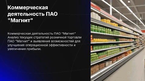 Коммерческая деятельность ПАО "Магнит" и пути совершенствования