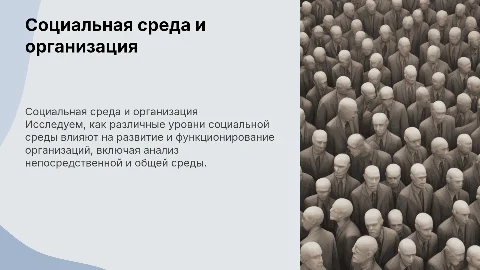 Влияние социальной среды на организацию и её многоуровневость