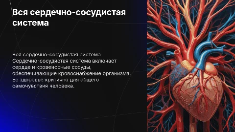 Вся сердечно-сосудистая система