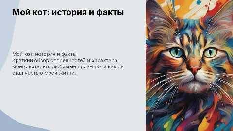мой кот