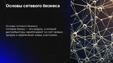 Сетевой бизнес