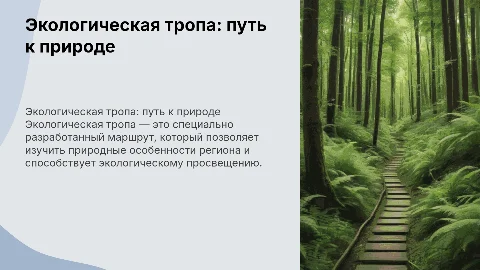 Экологическая тропа