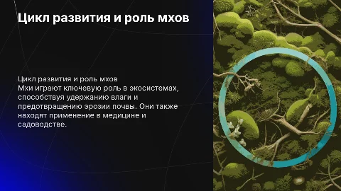 Цикл развития мхов и их роль в природе