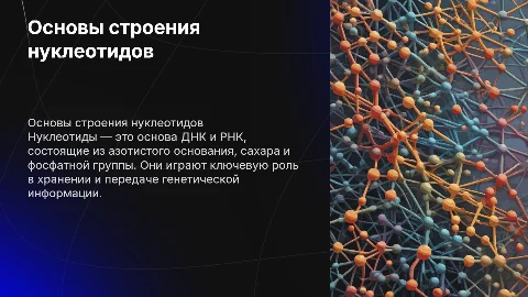 Строение нуклеотидов