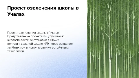 Проект озеленения МБОУ полилингвальной школы №9 в Учалах