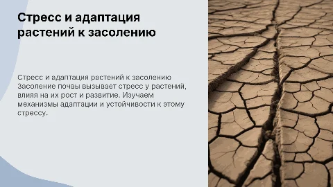 Стресс растений от засоления почвы и их адаптация
