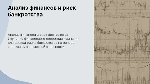 Анализ финансового состояния предприятия и риск банкротства