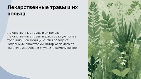 лекарственные травы