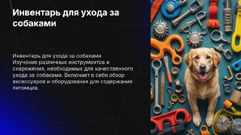 Изучение инвентаря и снаряжения для ухода за собаками